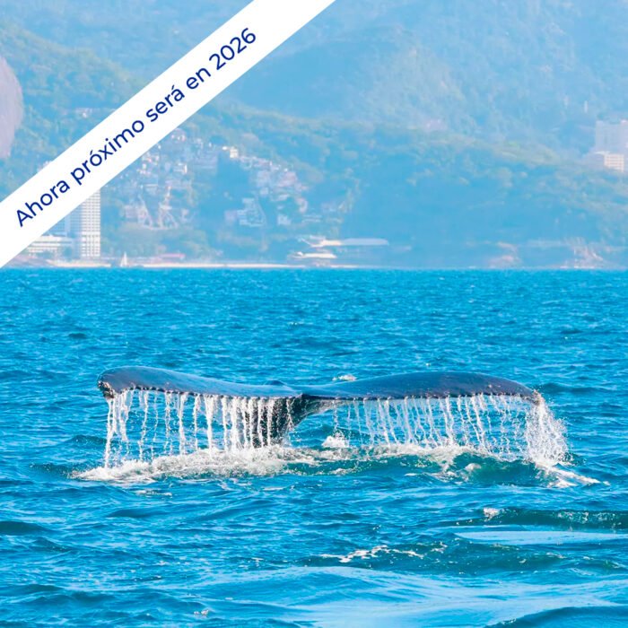 Ruta de las Ballenas - Image 1
