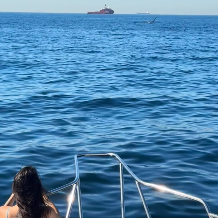 Ruta de las Ballenas - Image 5