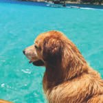 Barco Premium desde Arraial - Image 2